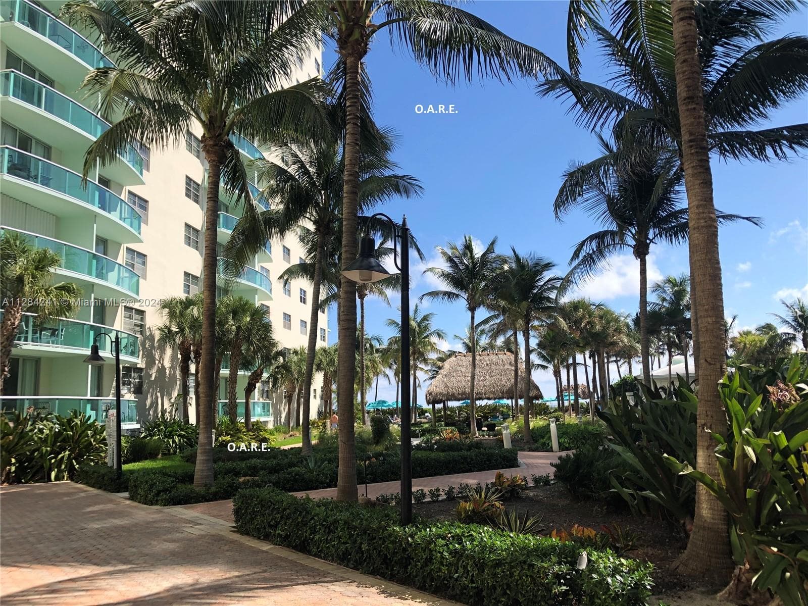 3901 S Ocean Dr 8E photo 25