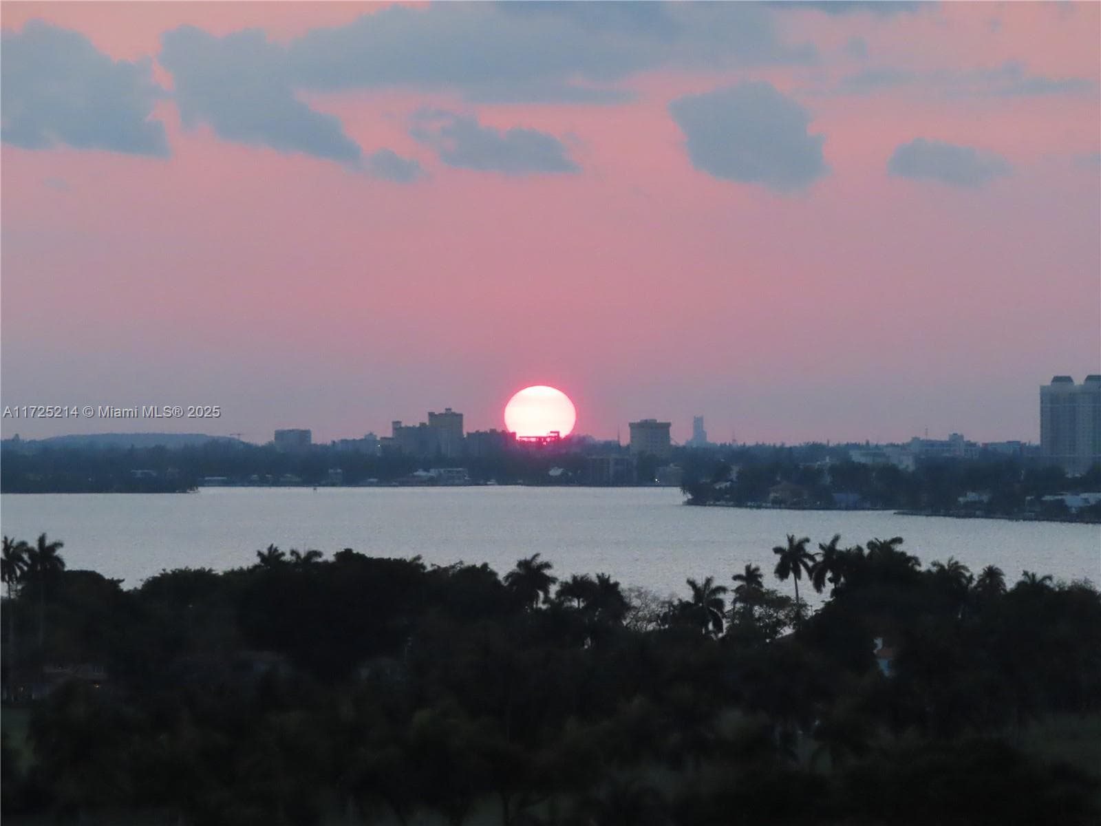 5701 Collins Ave 1011 photo 2
