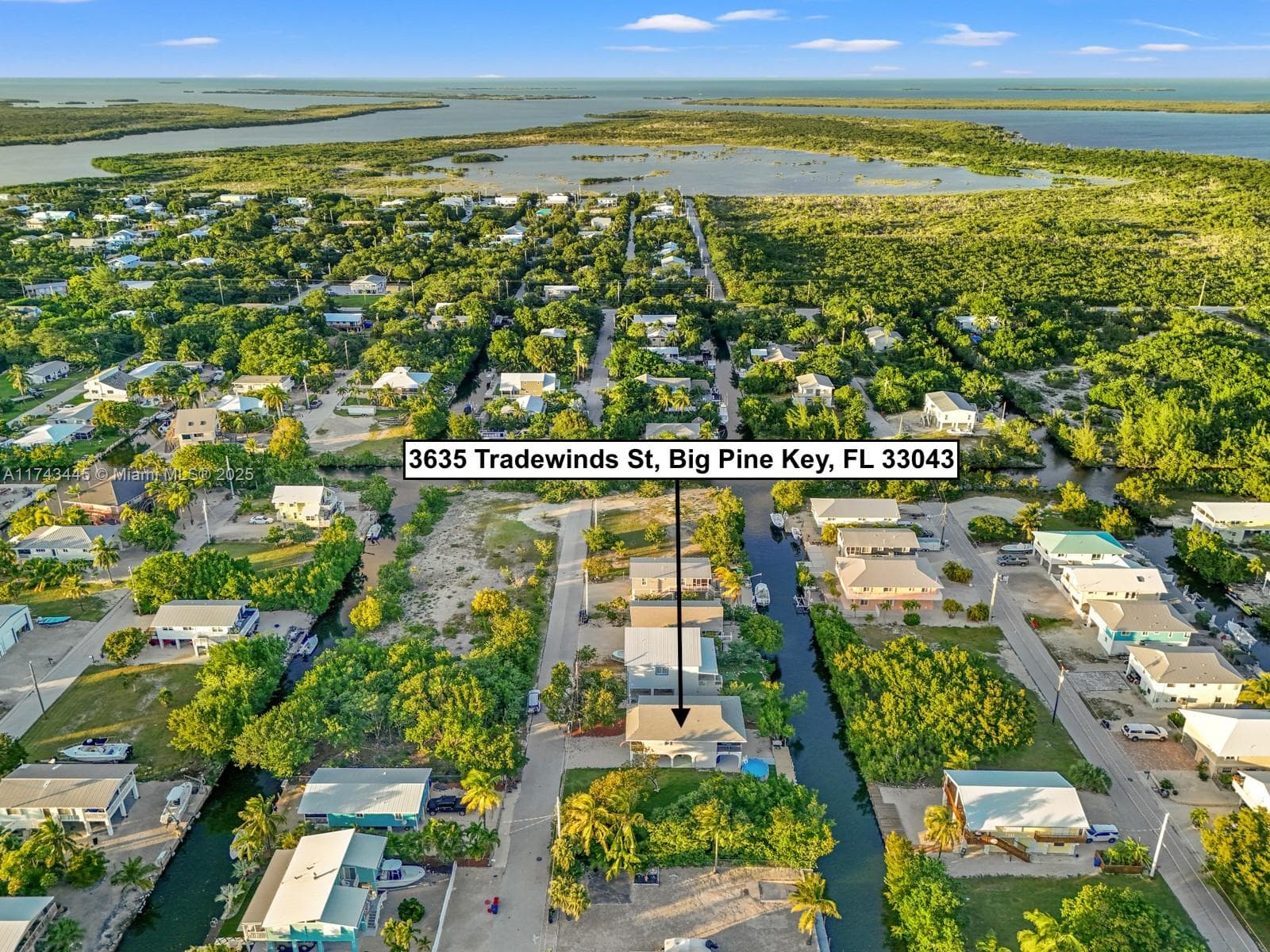 3635 Trade Winds St 5