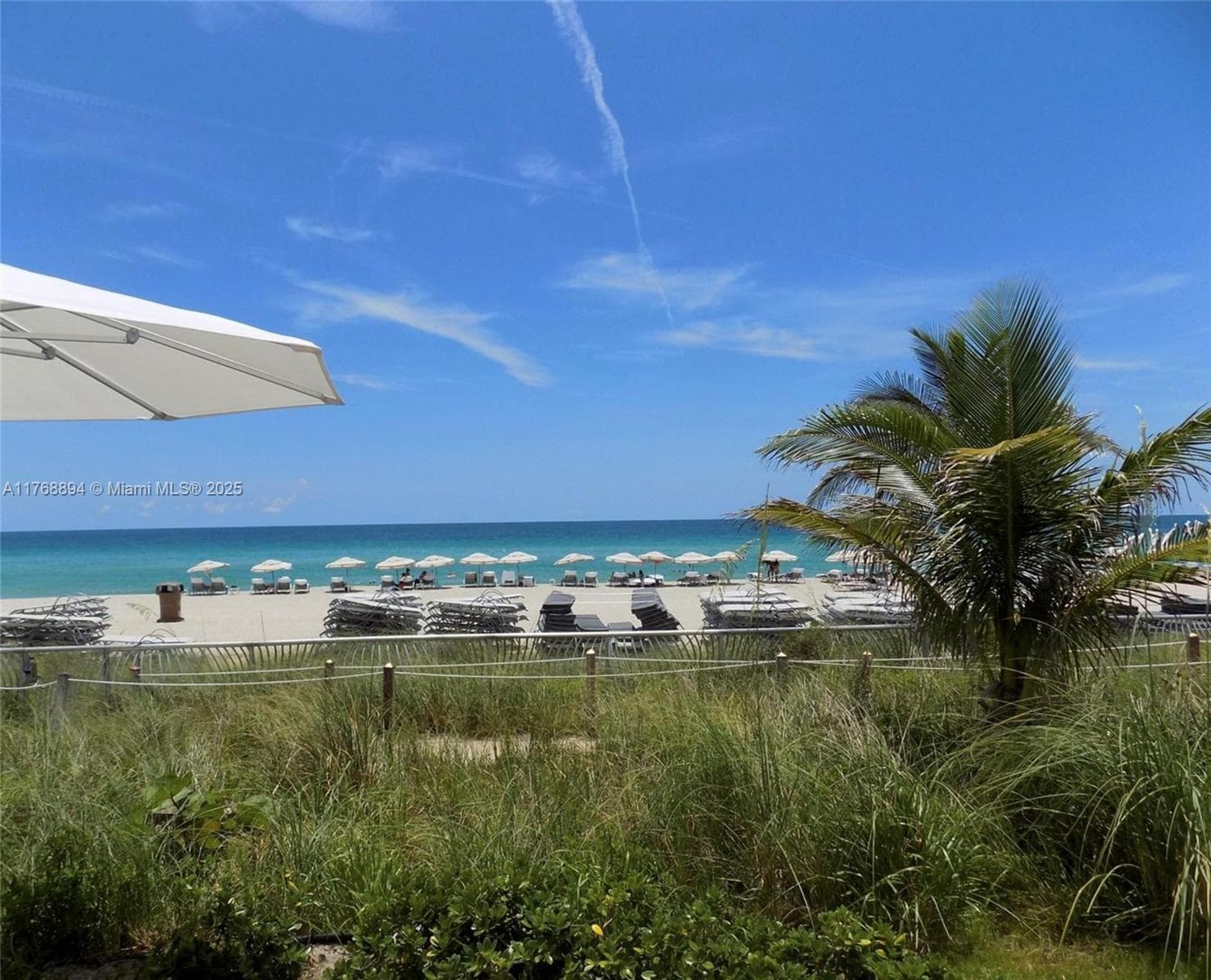 18201 Collins Ave 3906 photo 11