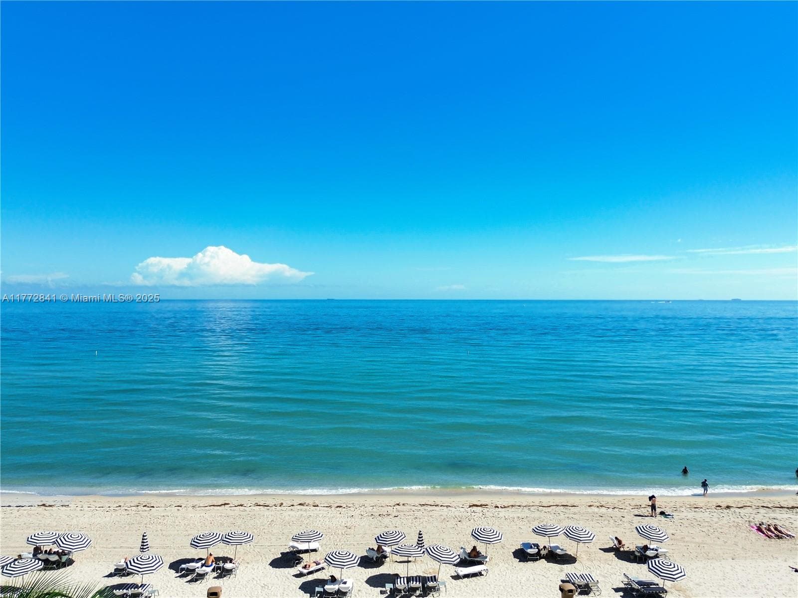 17001 Collins Ave 2508 photo 12