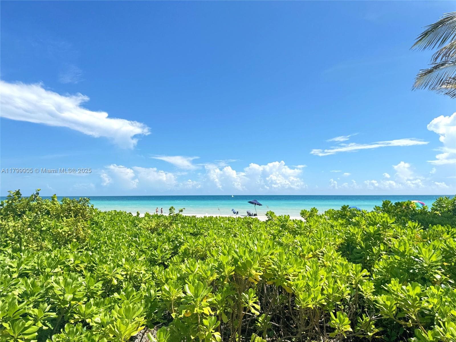 1936 Ocean Dr 8D photo 20