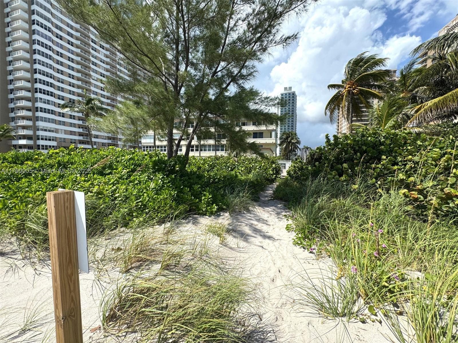 1936 Ocean Dr 8D photo 21