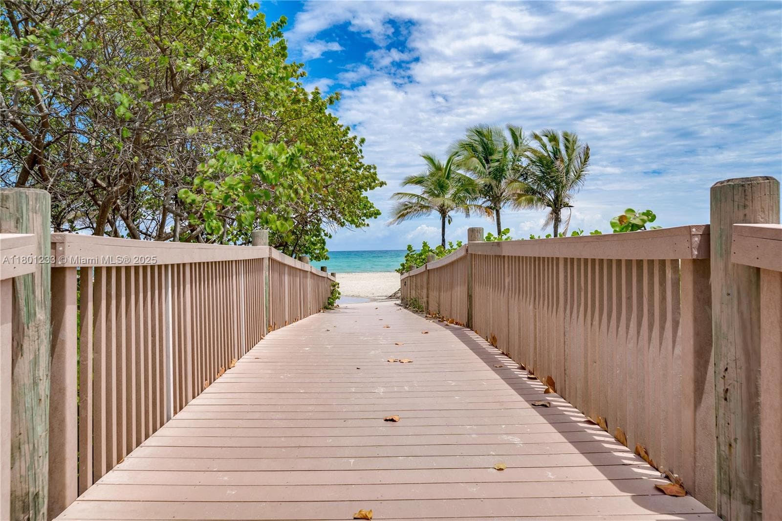 1201 Ocean Dr 1