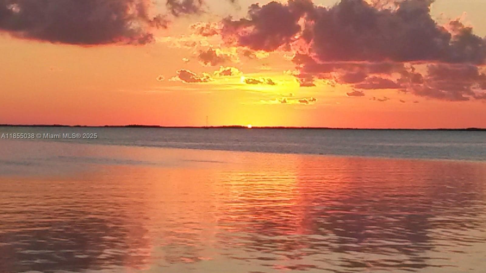 325 Calusa St   Lot 227 4