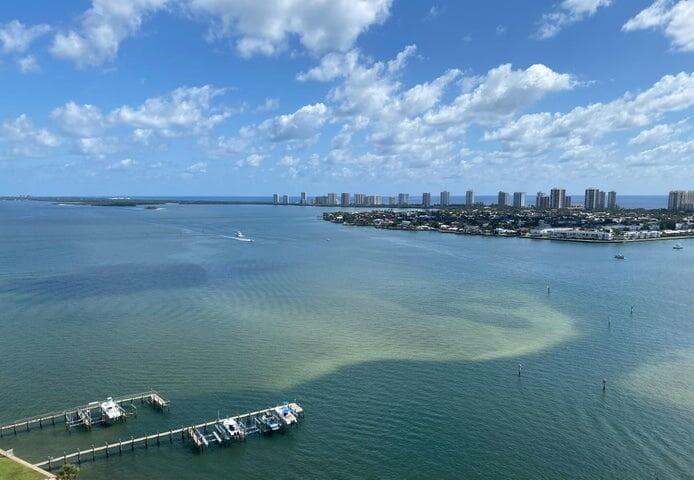 2650 Lake Shore Drive #2203 3