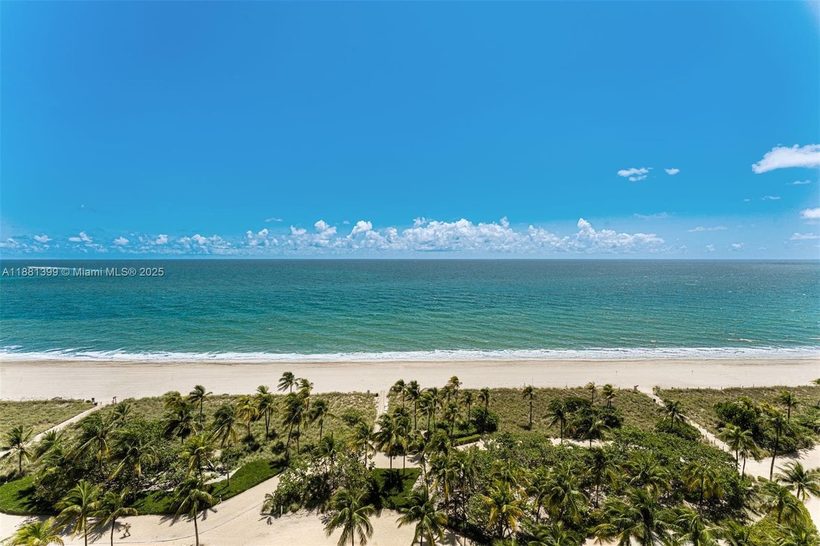 10155 Collins Ave 1401 photo 24