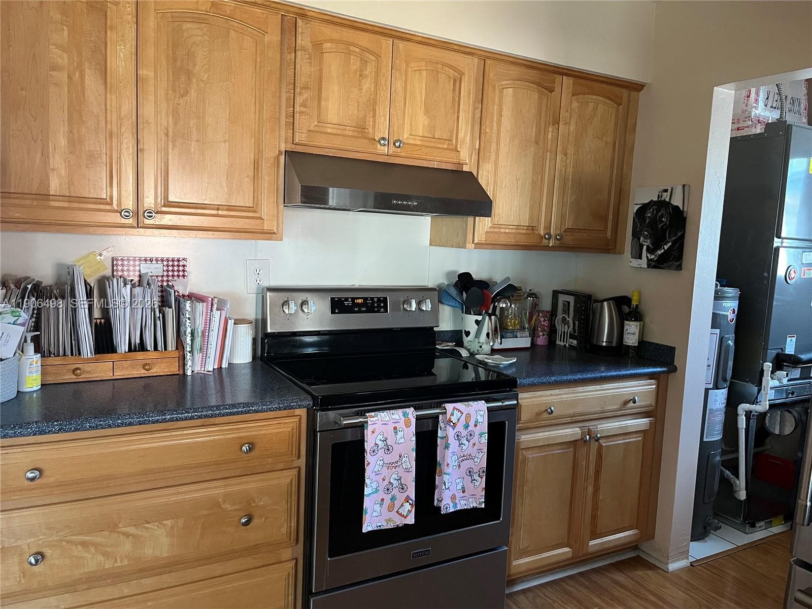 842 Argonaut Isle photo 17