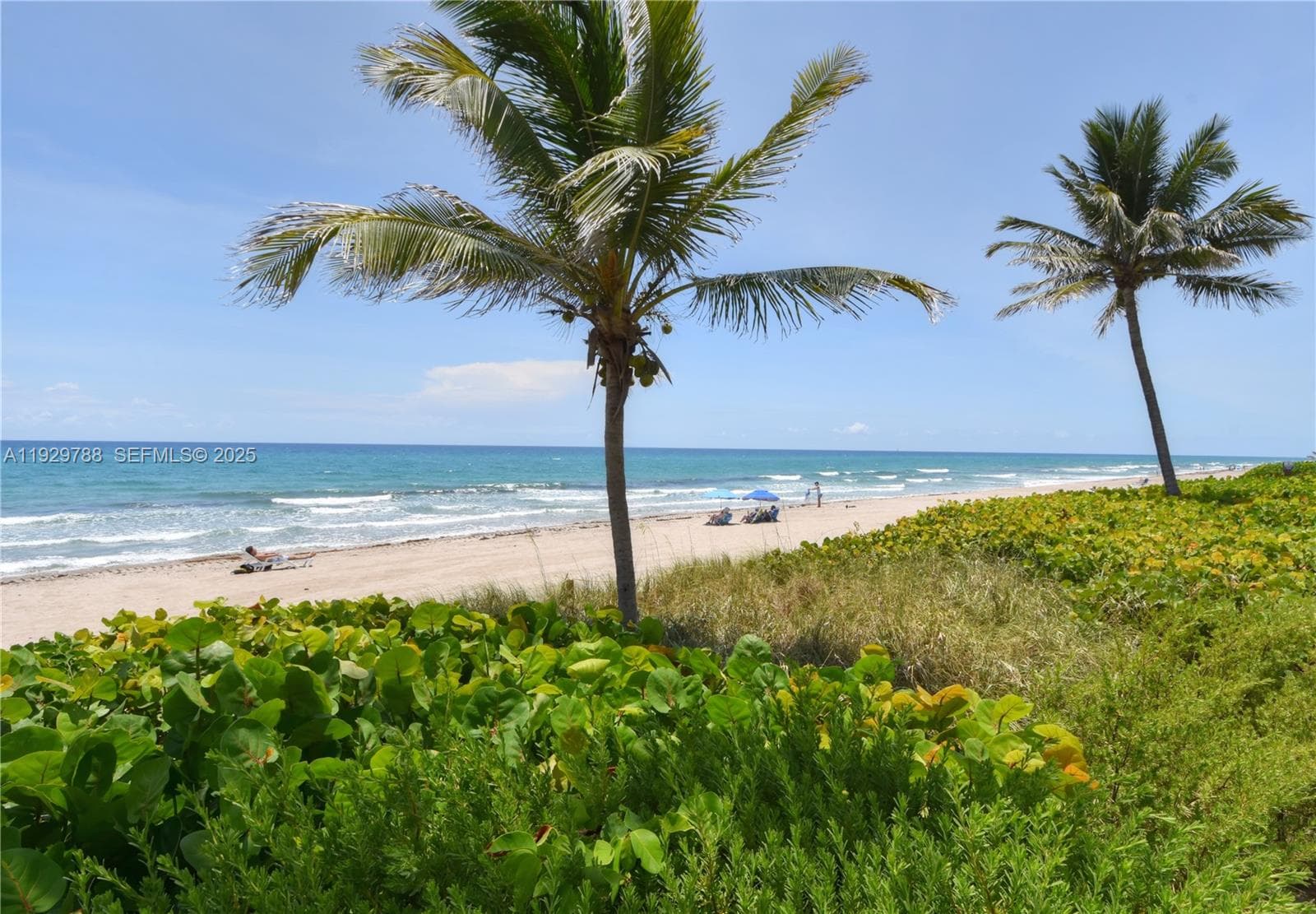 3101 Ocean Blvd 1