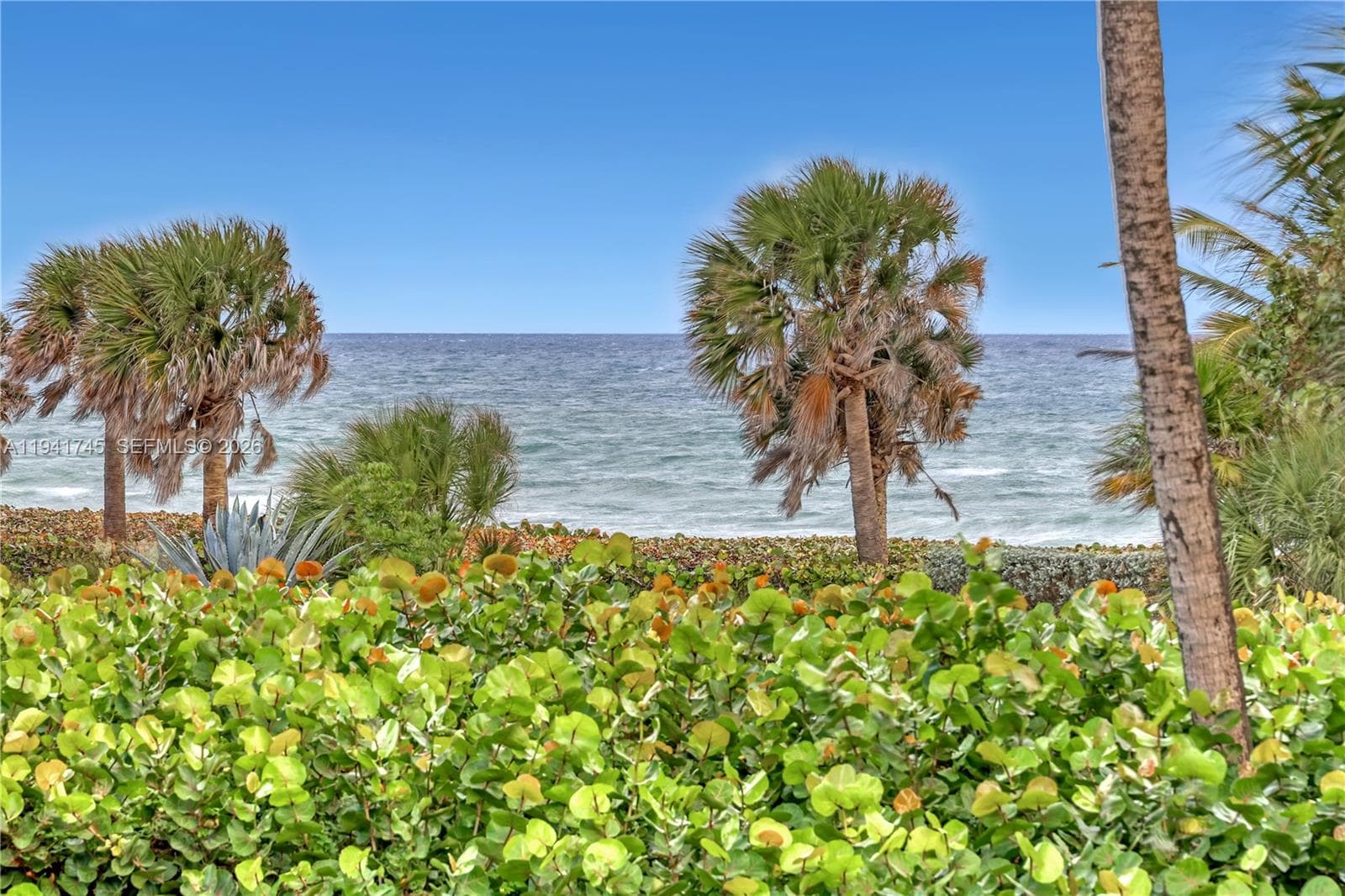 701 Seas Dr 206 photo 6