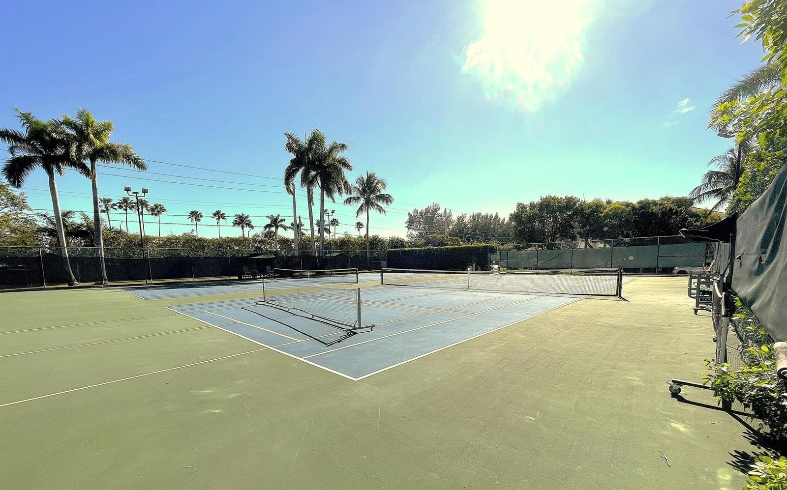 3 Royal Palm Way 205 photo 23