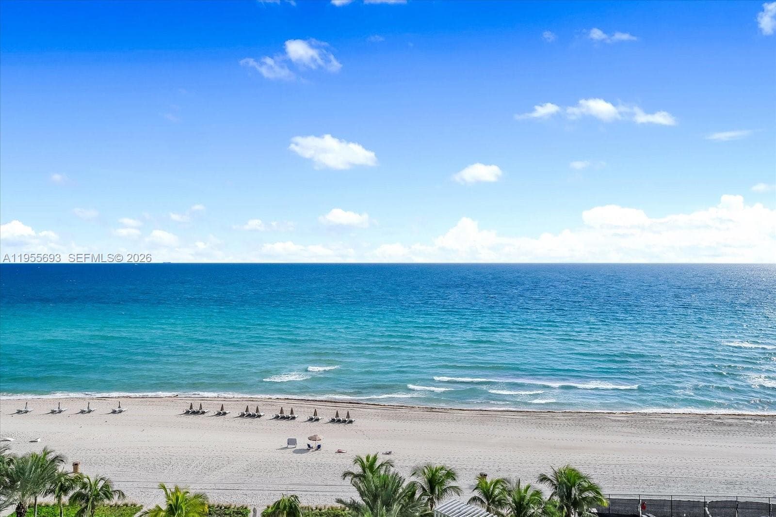 18501 Collins Ave 704 photo 13