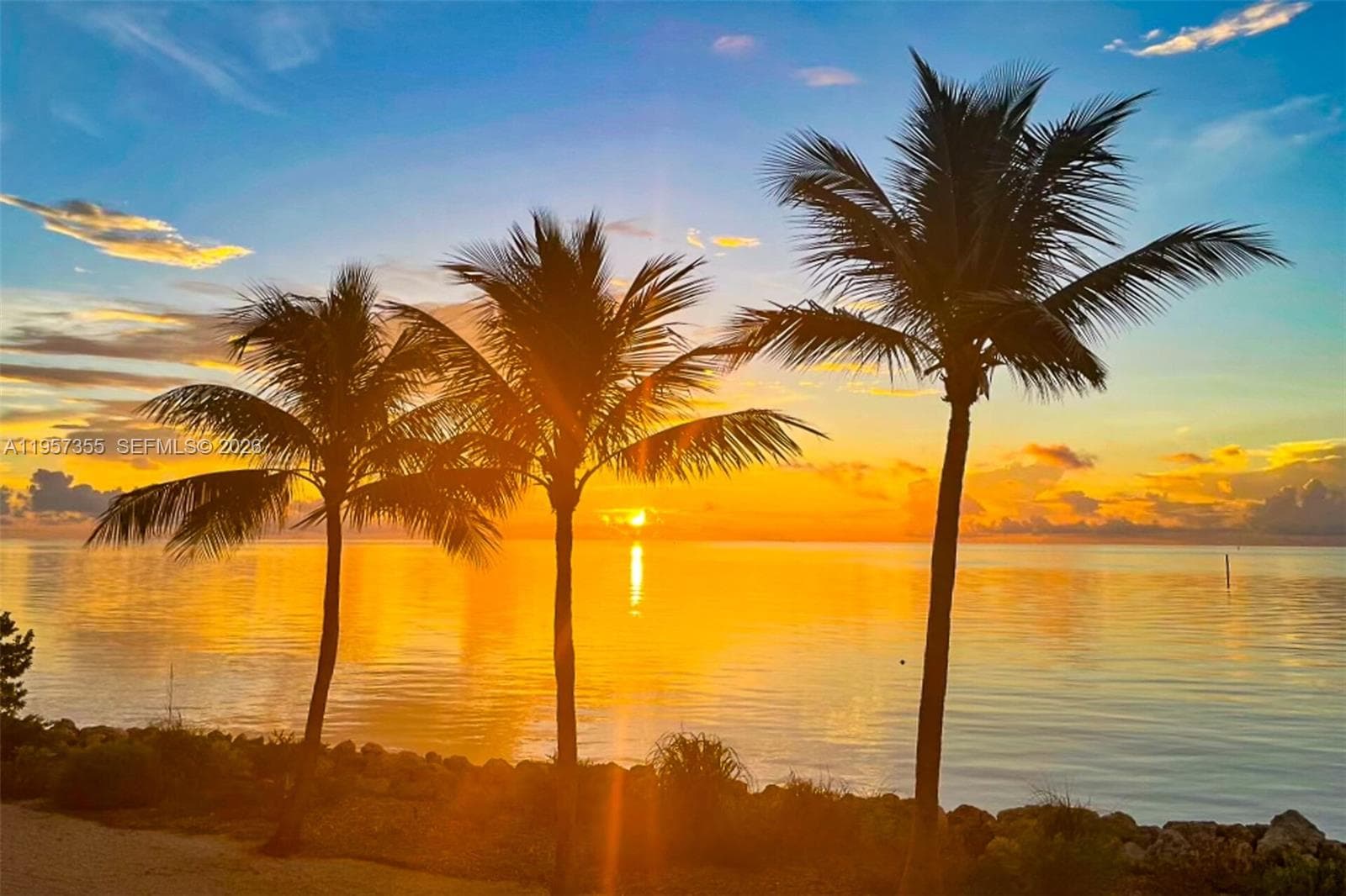 1501 Ocean Bay Dr 2