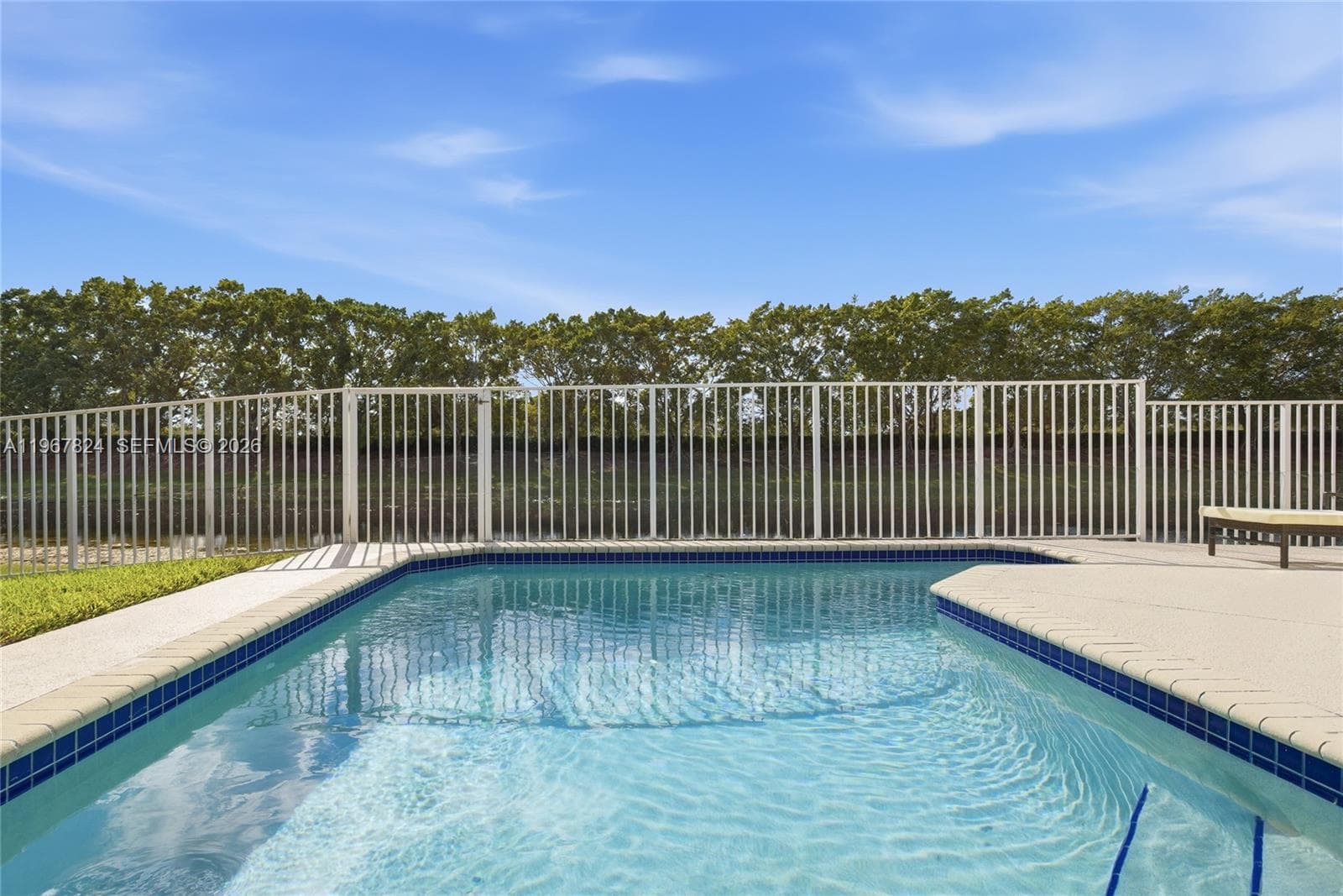 4351 Foxtail Ln photo 11
