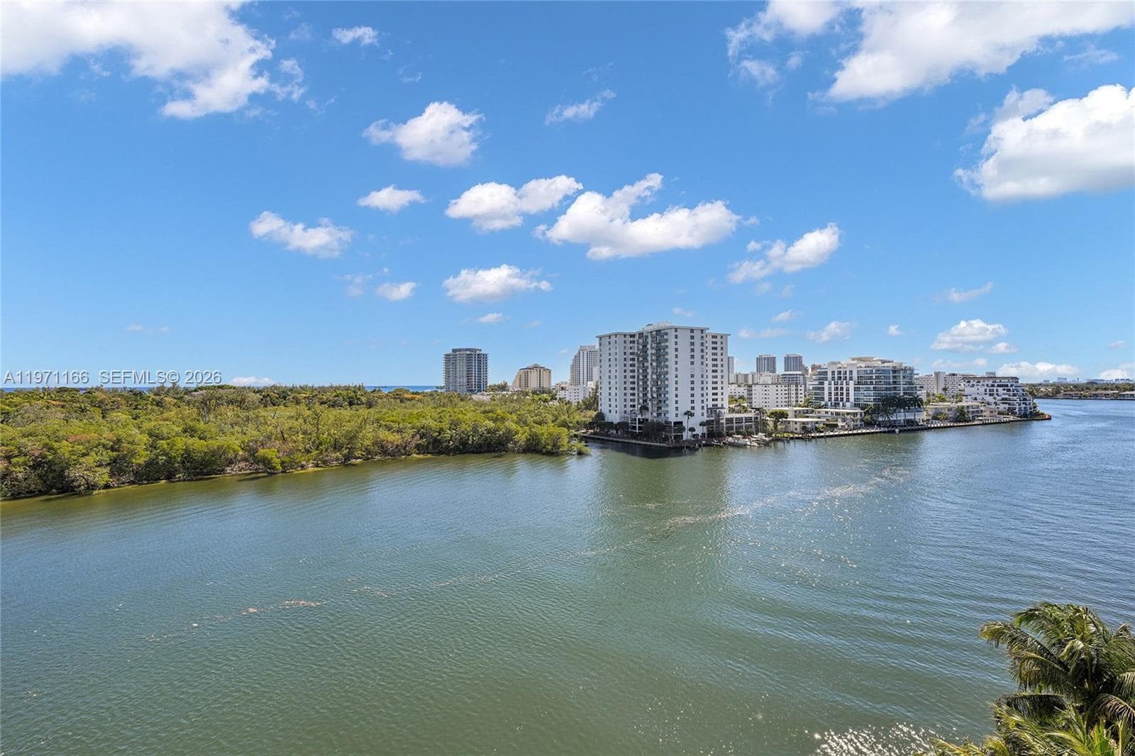 936 Intracoastal Dr 9H photo 25