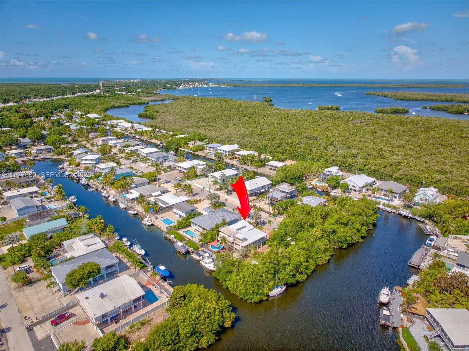 894 Ellen Dr 5