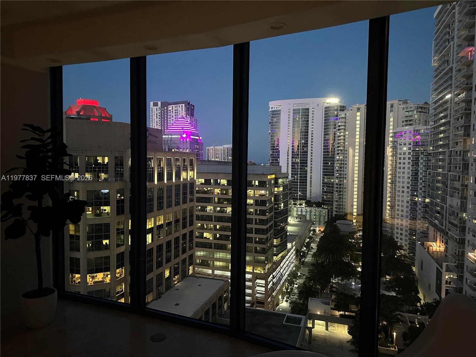 333 Las Olas Way 2505 photo 24