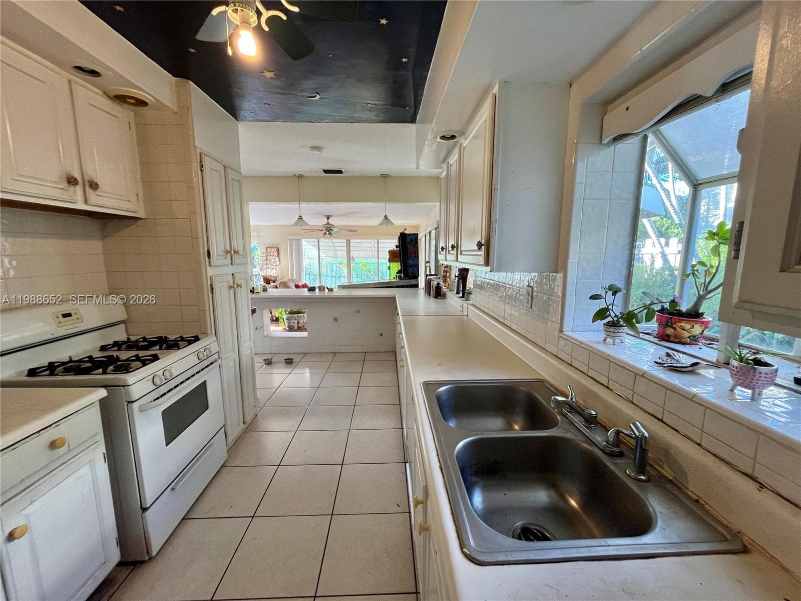 1004 Mandarin Isle photo 15