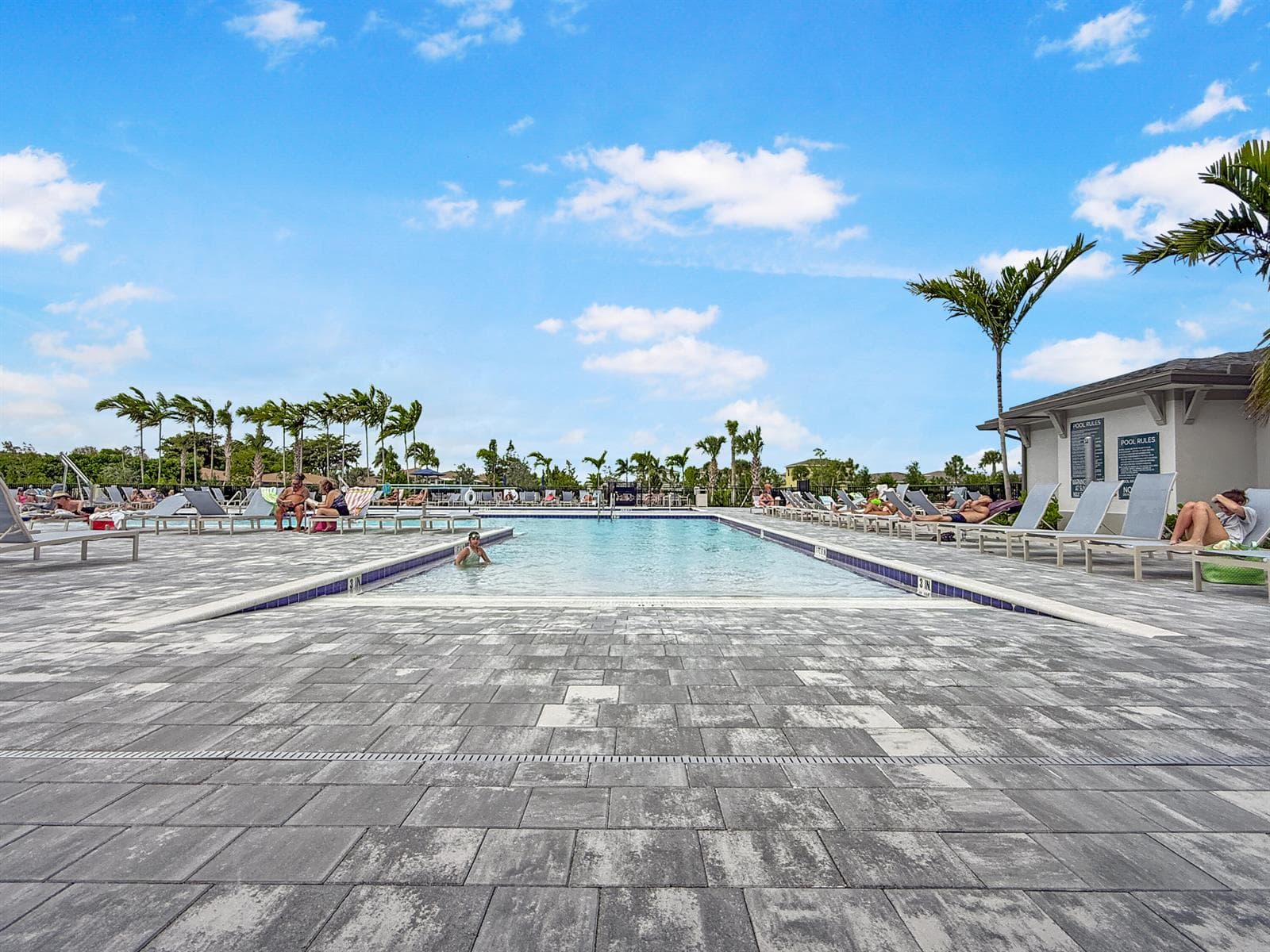 13586 Sabal Palm Court D photo 22