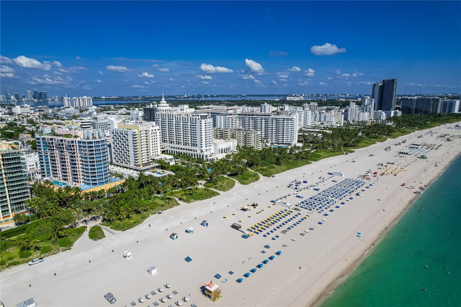 1500 Ocean Dr 1003 photo 23