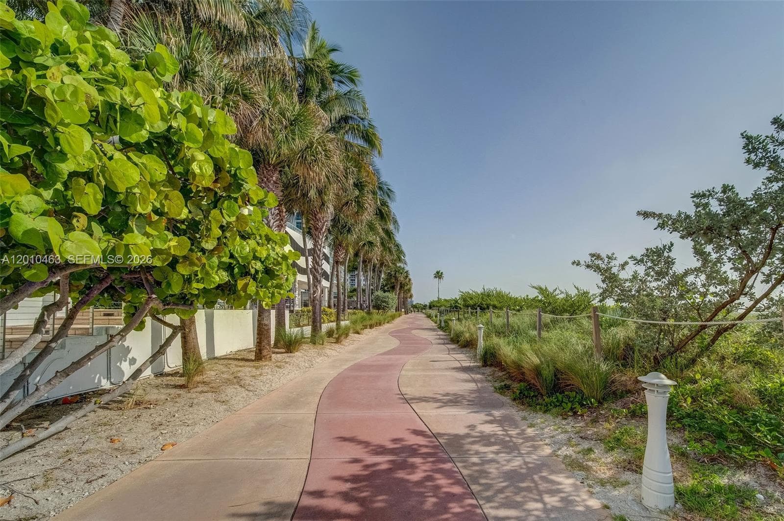 6799 Collins Ave 503 photo 17