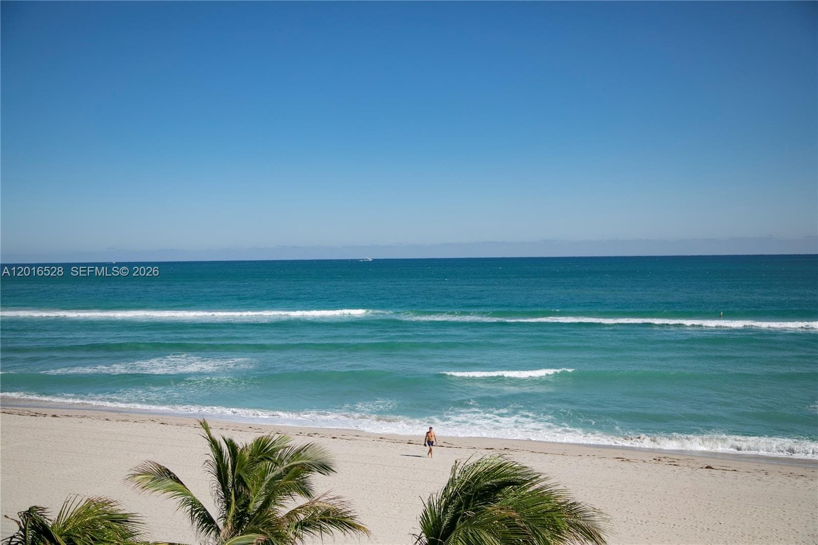 18501 Collins Ave PH5204 photo 24
