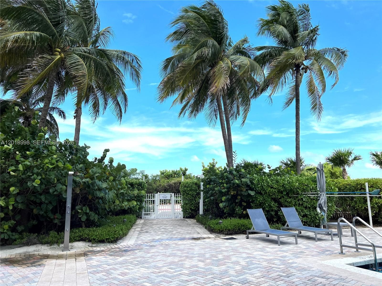 6515 Collins Ave 1801 photo 19