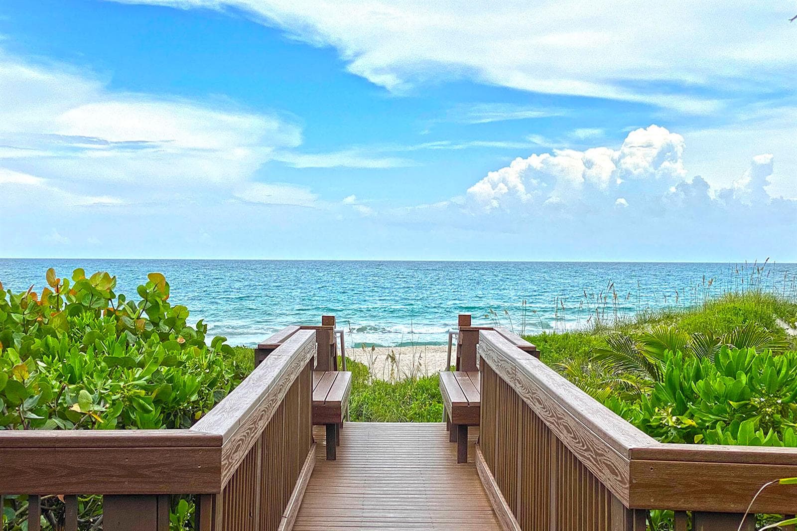 5047 N Highway A1a 802 photo 4