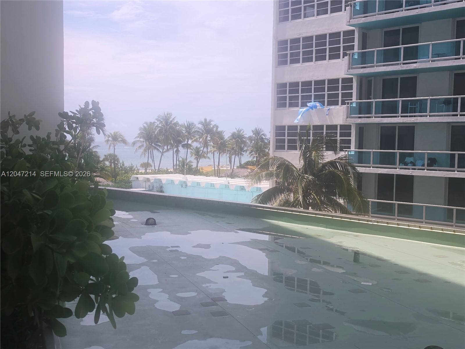 5151 Collins Ave 429 photo 20