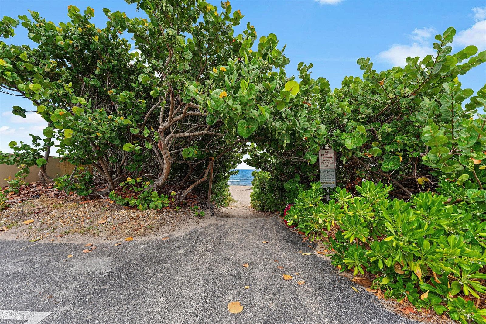 3851 N Ocean Boulevard N 403 photo 8