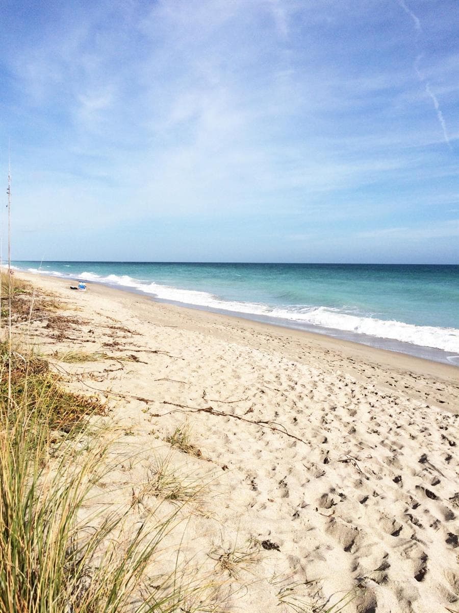 7430 S Ocean Drive 219 photo 22
