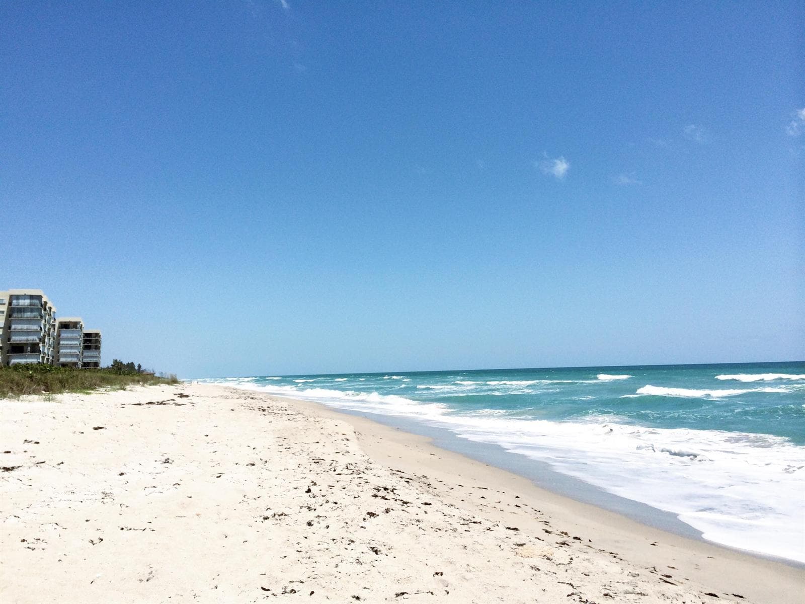 7430 S Ocean Drive 219 photo 20