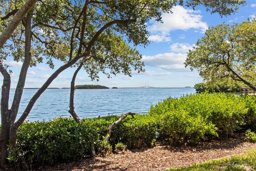 1515 PINELLAS BAYWAY S 65 photo 3