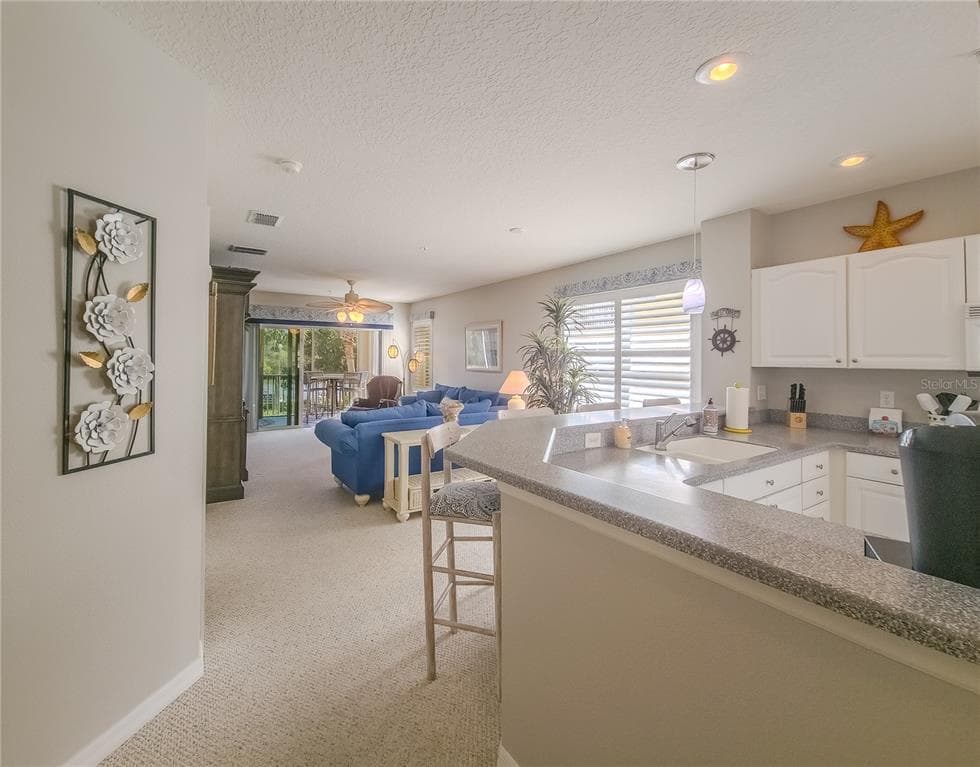 400 CANOPY WALK LN 425 photo 9
