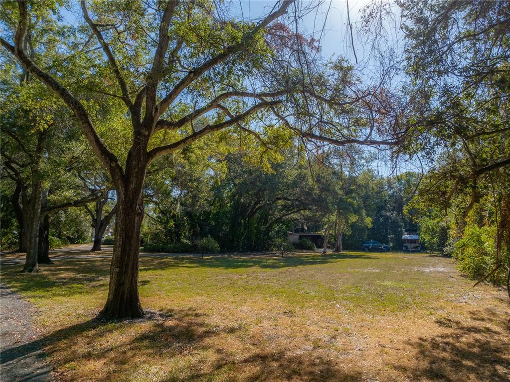 6210 BAYSHORE BOULEVARD photo 6