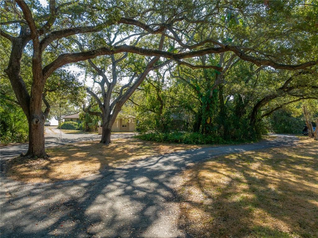 6210 BAYSHORE BOULEVARD photo 7