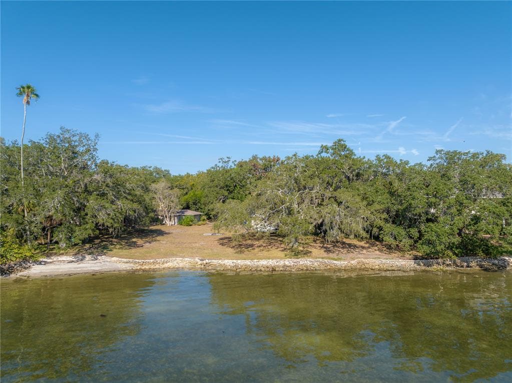 6210 BAYSHORE BOULEVARD photo 4