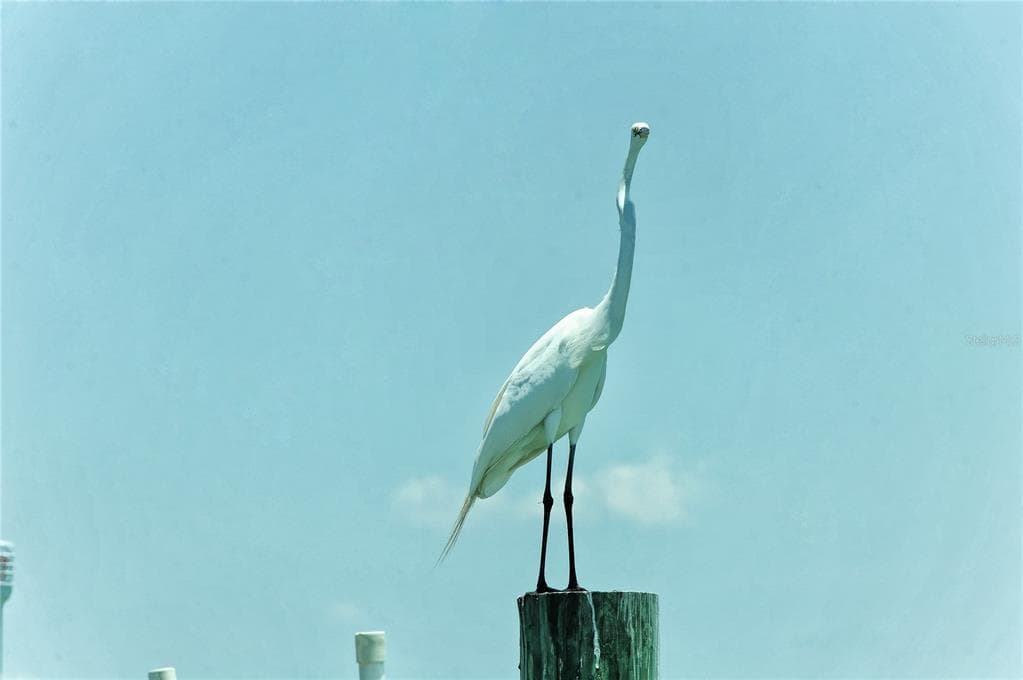 6040 BOCA GRANDE CAUSEWAY #5 3
