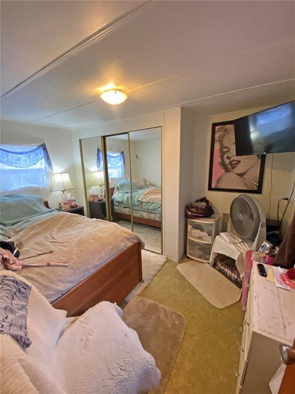 148 SWAN LAKE DRIVE photo 20