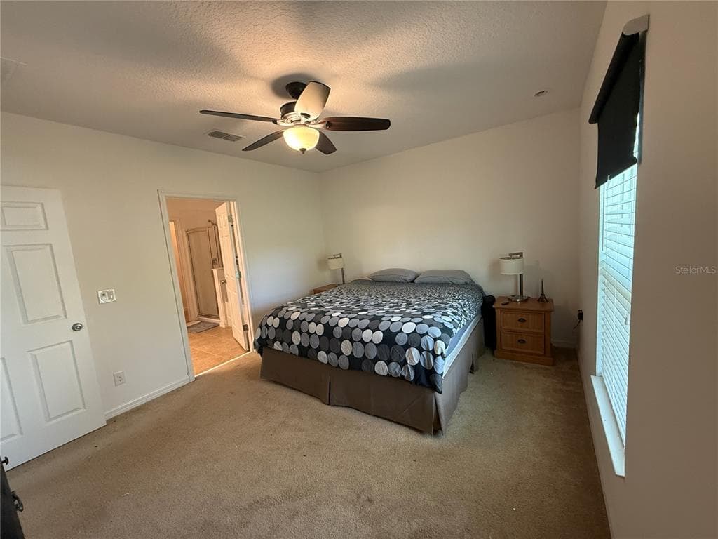 3374 REEDY GLEN DRIVE photo 12