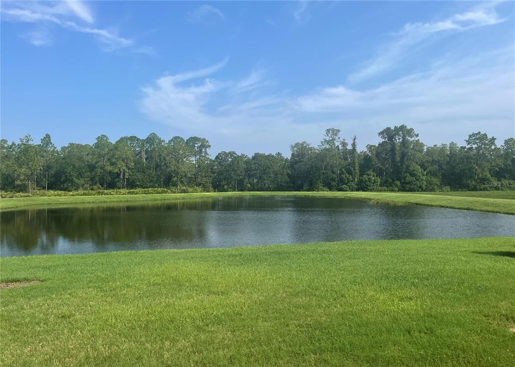 4239 WOODLAND RETREAT BOULEVARD photo 23