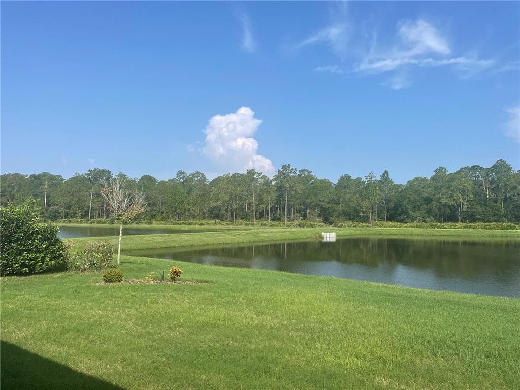 4239 WOODLAND RETREAT BOULEVARD photo 22