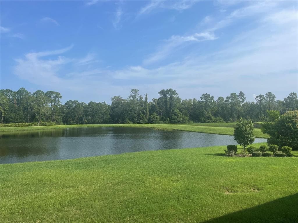 4239 WOODLAND RETREAT BOULEVARD photo 24