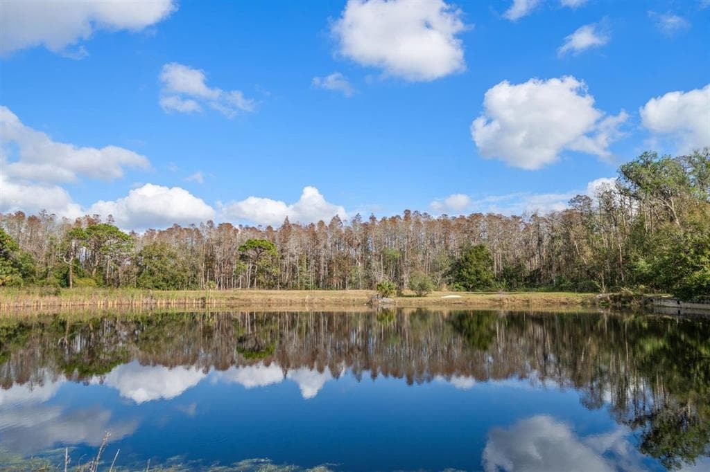 18409 TYLER ROAD photo 2