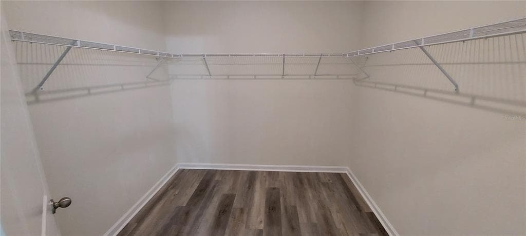 856 KINGS PINE COURT photo 17