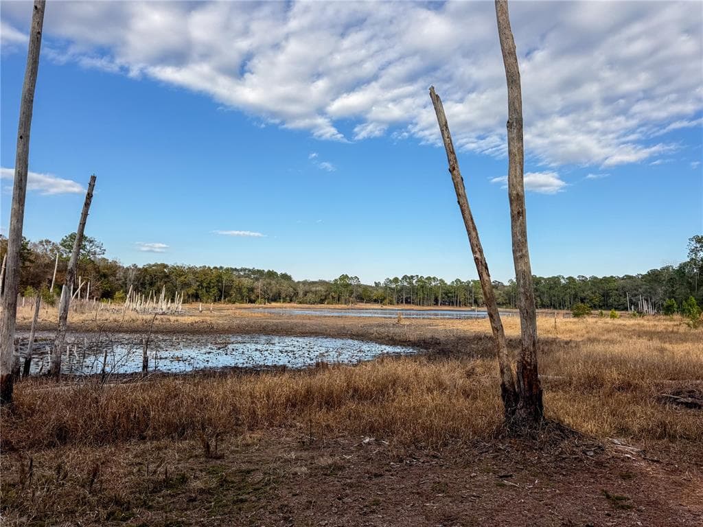 114 MANDARIN LAKE ROAD photo 18