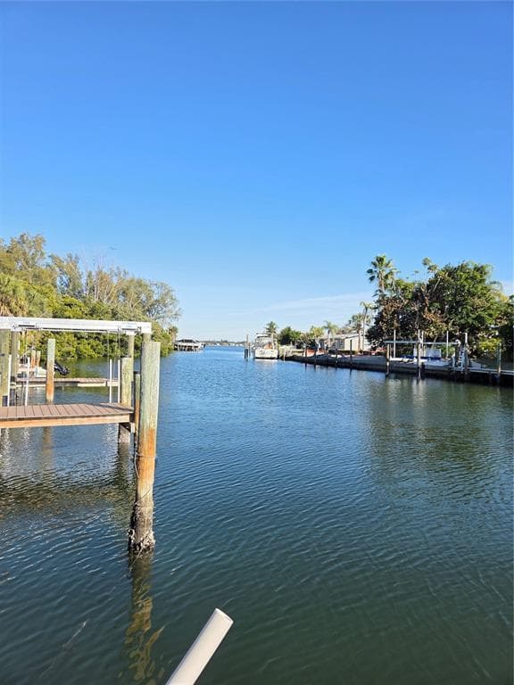 10215 MANATEE AVENUE W 1 photo 12