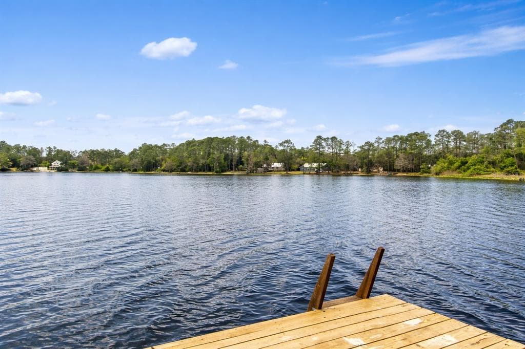 299 RILEY LAKE DRIVE 1