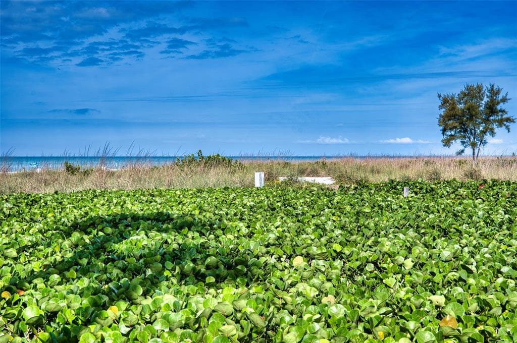 6701 GULF OF MEXICO DRIVE 332 photo 7
