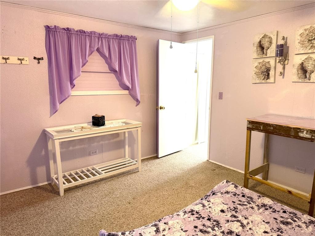 527 BLACKBURN BOULEVARD photo 17